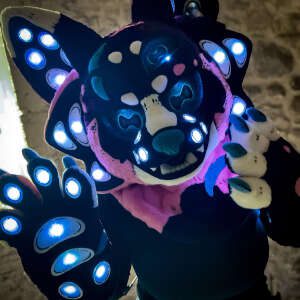 POOLPERO la black unicorn